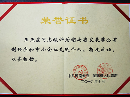 董事長(cháng)王五星被湖南省委、省政府評為湖南省發(fā)展非公有制經(jīng)濟和中小企業(yè)先進(jìn)個(gè)人